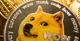 Barınaktan kurtarılmasaydı 2010'da 'uyutulacaktı': Dogecoin'in simgesi Kabosu 18 yaşında öldü