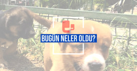 Bugün neler oldu? | 27.05.2024 Pazartesi, günün önemli gelişmeleri