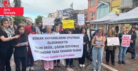 Kadınlardan 'köpek katliamı' teklifine tepki: Kara leke olarak tarihe geçecek