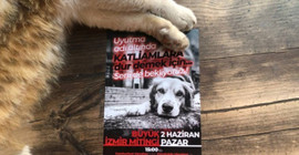 Katliam düzenlemesine karşı 2 Haziran'da İstanbul ve İzmir'de miting: Hayvanları sistemin kanlı ellerine bırakmayacağız