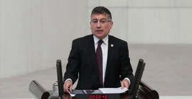 AKP'li Güler'den sokak hayvanları açıklaması: 'Adı Papatya, Beyaz, Yaren olanlarla sorunumuz yok'