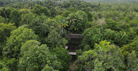 Endonezya'da kaybolan kadın, 5 metrelik pitonun içinde bulundu