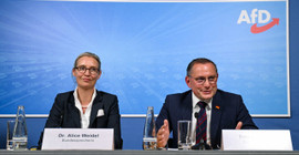 Almanya'da aşırı sağcı AfD oyunu nasıl artırdı?