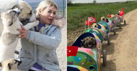 'Köpek Velisi’ Buket Özgünlü'nün tutuklanmasına tepki yağdı: Bu organize kötülük önüne gelen her şeyi yutar