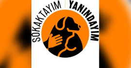 Yaşam için Yasa İnisiyatifi: 'Sokaktayım Yanındayım'