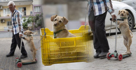 Köpeğini skuterle gezdirip salıncağa bindiriyor: 'Yedi torun var bir de bu sekiz oldu'