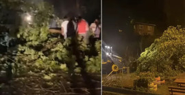 Bartın’da kuvvetli rüzgar: Ağaçlar yola devrildi, trafo patladı