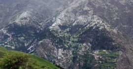 Artvin'de dolu etkili oldu