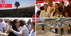 Diyarbakır-Mardin yangınında can kaybı 14'e yükseldi: Eşbaşkanlar bölgeyi ziyaret etti.
