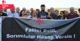 Ekoloji örgütlerinden yangın bölgesine ziyaret: 'İhmaller silsilesi felakete dönüştü'