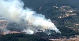 Manisa'da orman yangını