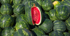 Karpuz nasıl seçilir? İşte yaz aylarının sevilen meyvesi karpuz hakkında ilginç bilgiler