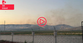 Urfa'da binlerce dönüm mera yandı: Yüzlerce zeytin, badem ve fıstık ağacı kül oldu