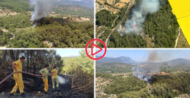 Muğla'da orman yangını kontrol altına alındı