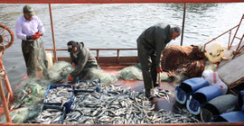 Av yasağı sona erdi: Balıkçılar, Van Gölü'ne ağlarını bıraktı