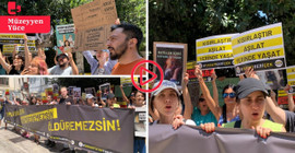 Hayvan hakları savunucuları komisyona seslendi: Katliama ortak olma
