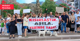 'Katliam Yasası' Amasya'da protesto edildi: 'Hayvanların öldürülmesini asla kabul etmiyoruz'