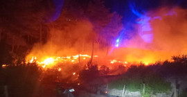 Çanakkale Ayvacık'ta orman yangını