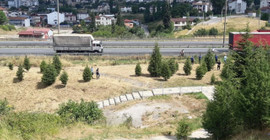 TEM Otoyolu kenarında çürümeye başlamış kadın cesedi bulundu