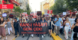 Yüzlerce kişi sokak hayvanları için Ulus Anıtı’ndan Yediler Parka yürüdü: 'Yasayı geri çek'