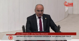 AKP Rize Milletvekili Mertoğlu: Kısırlaştırmada hayvanlardan izin alınması gerekiyor