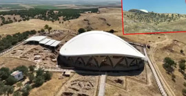 Göbeklitepe'de ağaç dikme iddiasına kazı başkanından yalanlama geldi