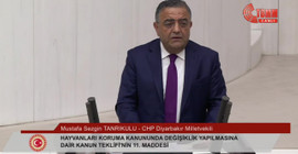 Sezgin Tanrıkulu: Canlılar konusunda uzlaşabilirdik, beceremedik ve bir kutuplaşmaya alet olduk