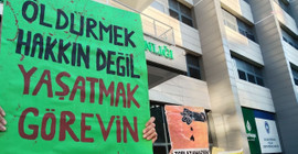 'Katliam yasası' yürürlüğe girdi: Belediyelerin sorumlulukları başlıyor