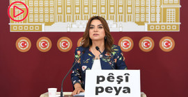 Koçyiğit 'Pêşî Peya' dövizini Meclis'e taşıdı