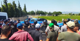 İzmir'de çiftçiler domates fiyatlarını protesto etti: 'Bizi bu hale sokan tarım bakanı utansın'