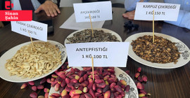 Antep fıstığı için 'taban fiyat açıklansın' çağrısı: 'Fiyatları üç beş tüccar belirliyor'