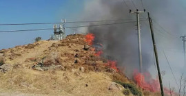 Bodrum'da otluk ve makilik alanda yangın çıktı