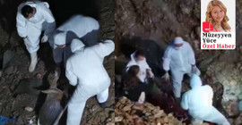 Altındağ’da mezardan çıkarılan köpekler nekropsiye gönderildi: Doğal ölüm değil, katliam