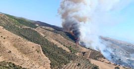 İzmir ve Manisa'da orman yangınları
