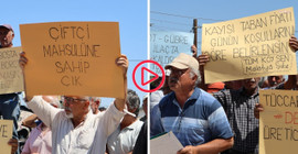 Kayısı üreticilerinden TMO önünde fiyat protestosu: 'Taban fiyatı belirleyin'