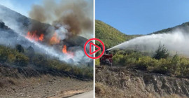 Tokat'ta orman yangını: 8 hektar alan küle döndü