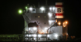 Arjantin'de maymun çiçeği alarmı: Yük gemisi karantinada