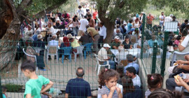 Halaylar çekildi, lokmalar pay edildi: Varto Doğa, Kültür ve İnanç Festivali sona erdi