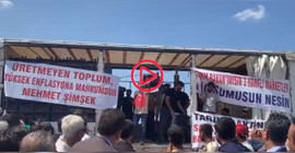 Ereğli’de domates çiftçisi isyan etti