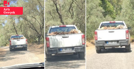 Muğla’da 'tarihi kıyım' iddiası: Antik pithos mezarları pikapla taşındı