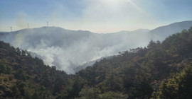 Hatay'da orman yangını