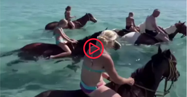 Deniz at turuna tepki yağıyor: Eziyet, at ölebilir