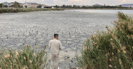 Sivas'ta Ulaş Gölü kuruma noktasına geldi: Elmabaş patka ördekleri gölü terk ediyor