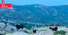 Karaburun’un simgesine GES tehdidi