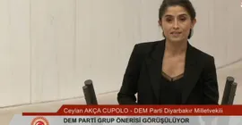 Narin Güran cinayeti önergesinin reddedilmesine tepki: 'Hayır' oyu verenler failleri gizlemek için elini kaldırıyor