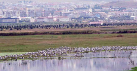 Yağmur sularıyla Erzurum Ovası’nda 30 'kuş cenneti' oluştu