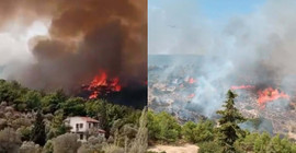 İzmir'de çöplükte çıkan yangın, ormana sıçradı