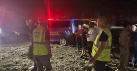 Hatay'da 11 köpek ölü bulundu