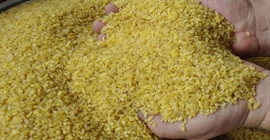 Bulgur tüketmek için 10 neden! Bakın bulgurun sağladığı müthiş faydalar neler