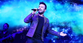 Tarkan'dan Gebze'deki hayvan katliamına tepki: Yasanın katliamlara çanak tutacağı belliydi